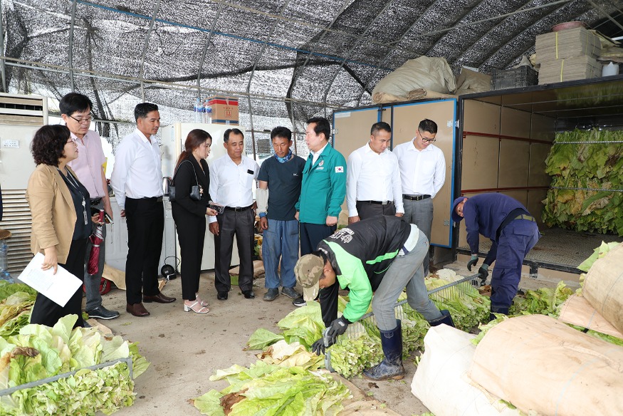 0726-2 안동시  라오스 노동사회복지부 대표단과 계절근로자 근로현장 방문 (2).jpg